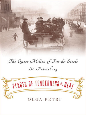 cover image of Places of Tenderness and Heat